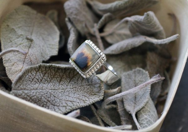 Square Dendrite Ring